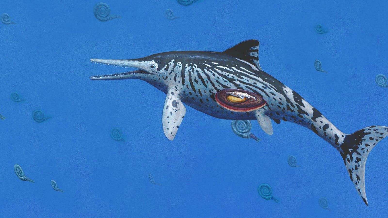 largest dinosaur fossil