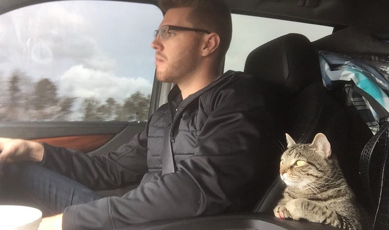Illustration for article titled I'm Unsettled By Freddie Freeman's Cat