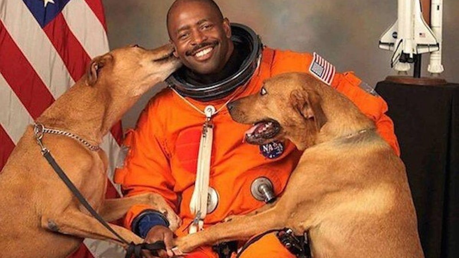 jellycat astronaut dog