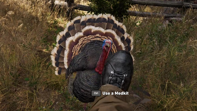 wbz2xvfra9m6jg0lwmut.png
