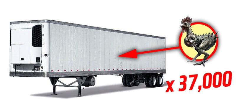Illustration for article titled Truckload Of Leaking, Rotting Chicken Left At Truckstop In Montana