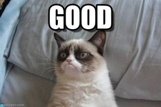 Illustration for article titled 