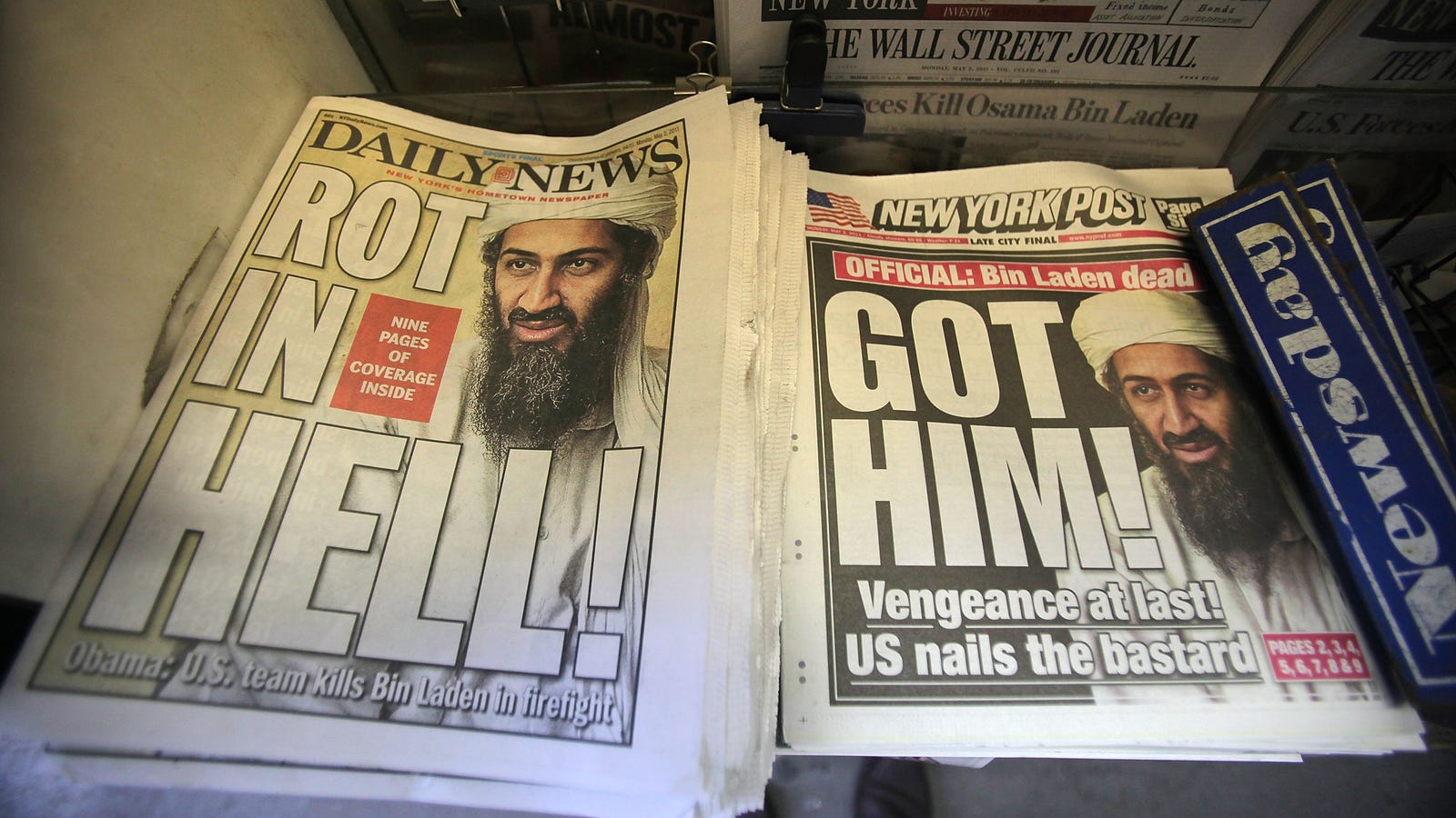 Osama bin laden essay