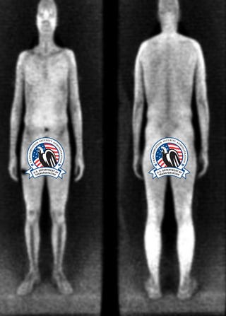 Illustration for article titled Pilot Who Refused Full-Body Scan Railed Against TSA For Months