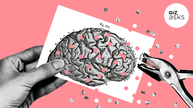 Illustration for article titled Can You Forget Things on Purpose?