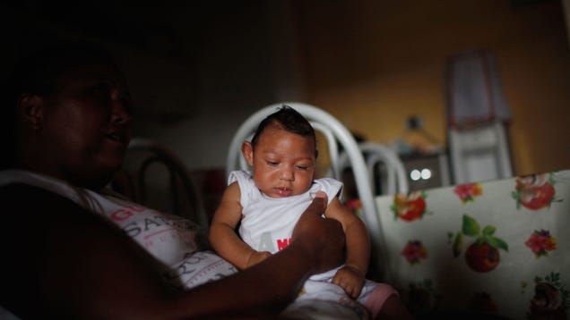 photo of We've Found the Most Compelling Evidence Yet That Links Zika to Birth Defects image