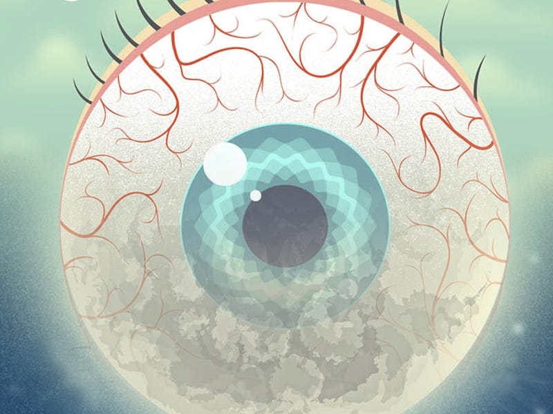 Illustration for article titled Karen Russell's Imaginary Nonprofit Saves The World But Costs Your Soul