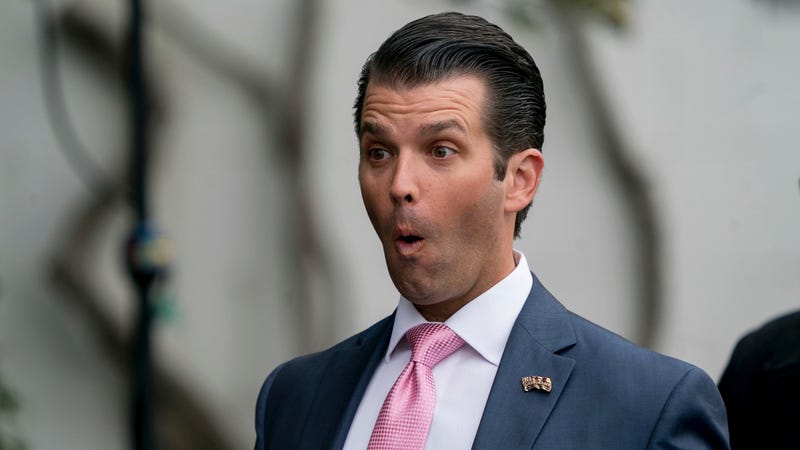 Image result for donald trump jr