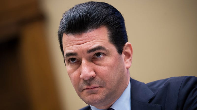 FDA chief Scott Gottlieb, above, testifying at a House Energy and Commerce Committee hearing on the opioid crisis in 2017