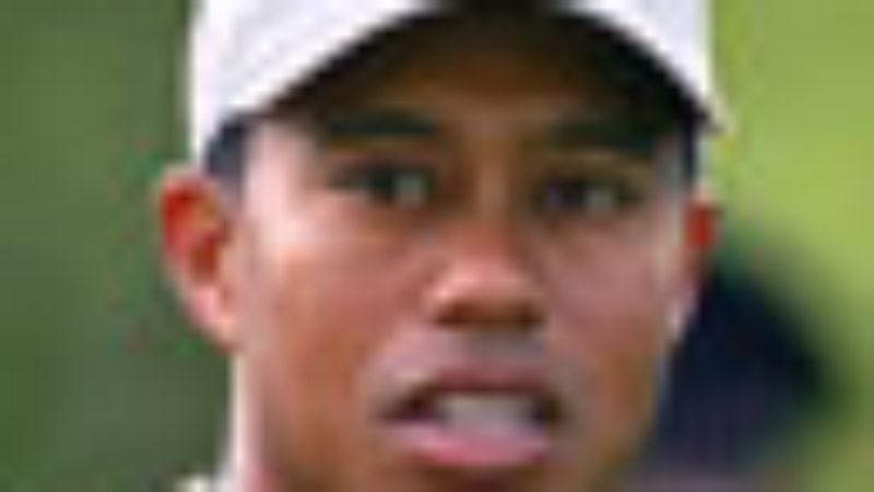 Illustration for article titled Tiger Woods Continues Hitting Bucket Of Balls After Hearing Wife Has Gone Into Labor
