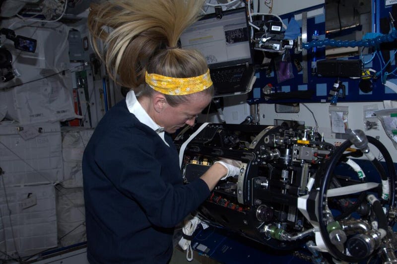 Illustration for article titled Life goes on aboard the ISS