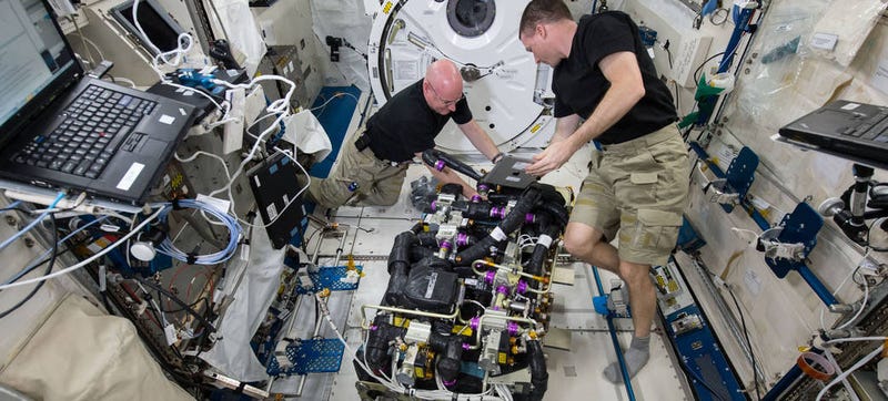 Illustration for article titled Being an Astronaut Looks Like Complicated Work