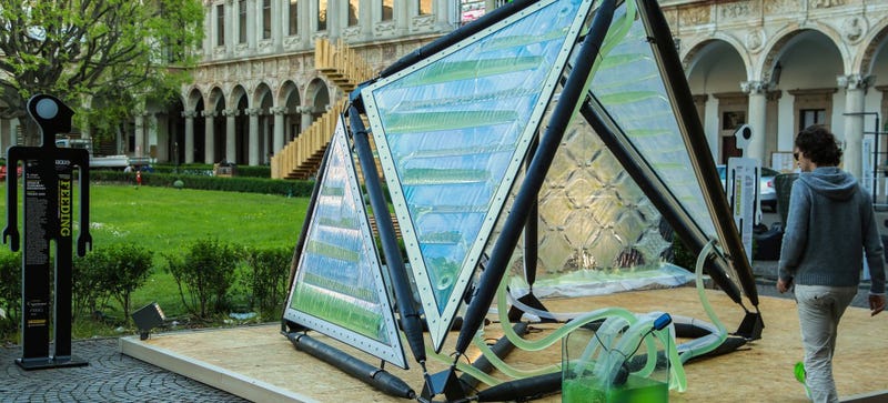 Illustration for article titled This Photosynthetic Algae Roof Filters the Neighborhood Air