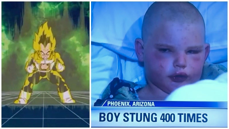 Niño asegura haber escapado de abejas asesinas gracias a una técnica de Dragon Ball - Imagen 4