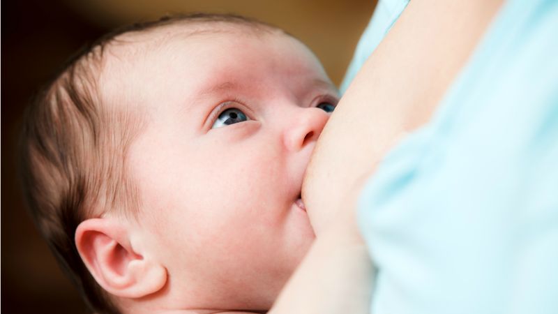 Illustration for article titled In Two Days Mayor Bloomberg Will Make You Put Your Nipple In Your Kid's Mouth