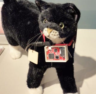 Illustration for article titled Sony Wants Your Cat To Use Twitter, Too