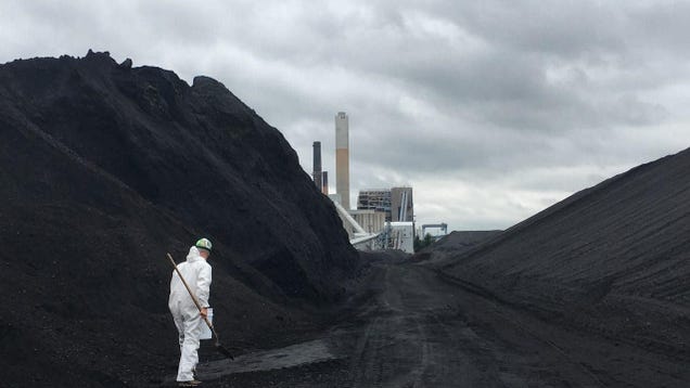 Nearly 70 Activists Arrested Attempting to Steal Coal From One of New England's Biggest Coal Plants