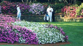 Report: Dumb Beer Ad Phrase Banned From The Masters