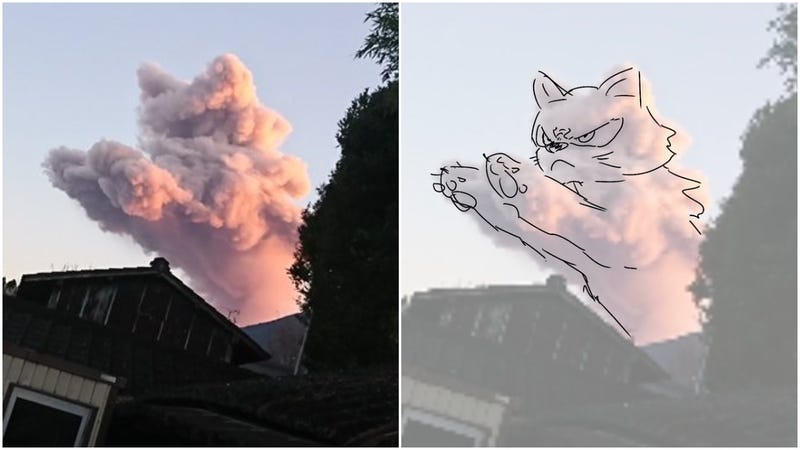 I Cannot Unsee This Cat