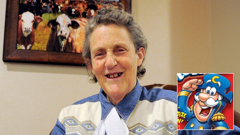 Illustration for article titled Death With Dignity: Temple Grandin Has Developed A New Mechanical Restraint System For Humanely Slaughtering Cap’n Crunch
