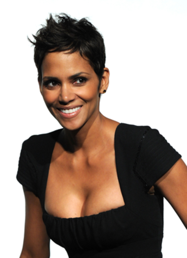Halle Berry (Anthony Harvey/Getty Images)
