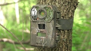 Illustration for article titled Bushnell Trail Camera for Adventurous Scouting: