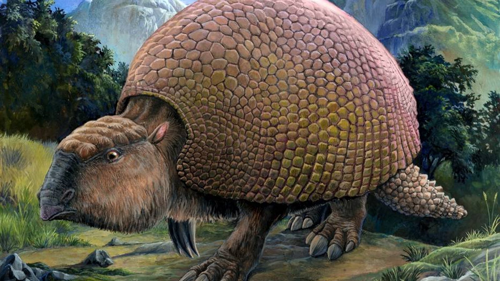  An illustration of two ancient armadillos, one with a spiky armor and one with a smooth armor, to illustrate the dimorphism between the two.