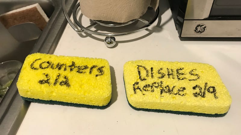 How To Keep Track Of Your Gross Household Sponges