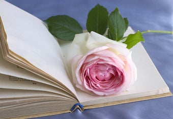 Illustration for article titled Celebrity Romance Fiction We'd Like To See