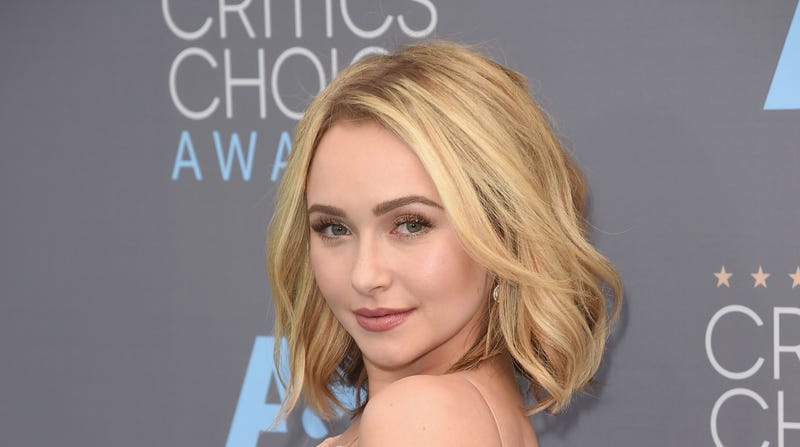 Illustration for article titled A Judge Has Issued a Protective Order Against Hayden Panettiere's Boyfriend