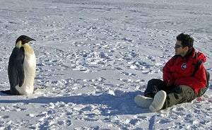 Illustration for article titled Oh, Those (Antarctic) Summer Nights