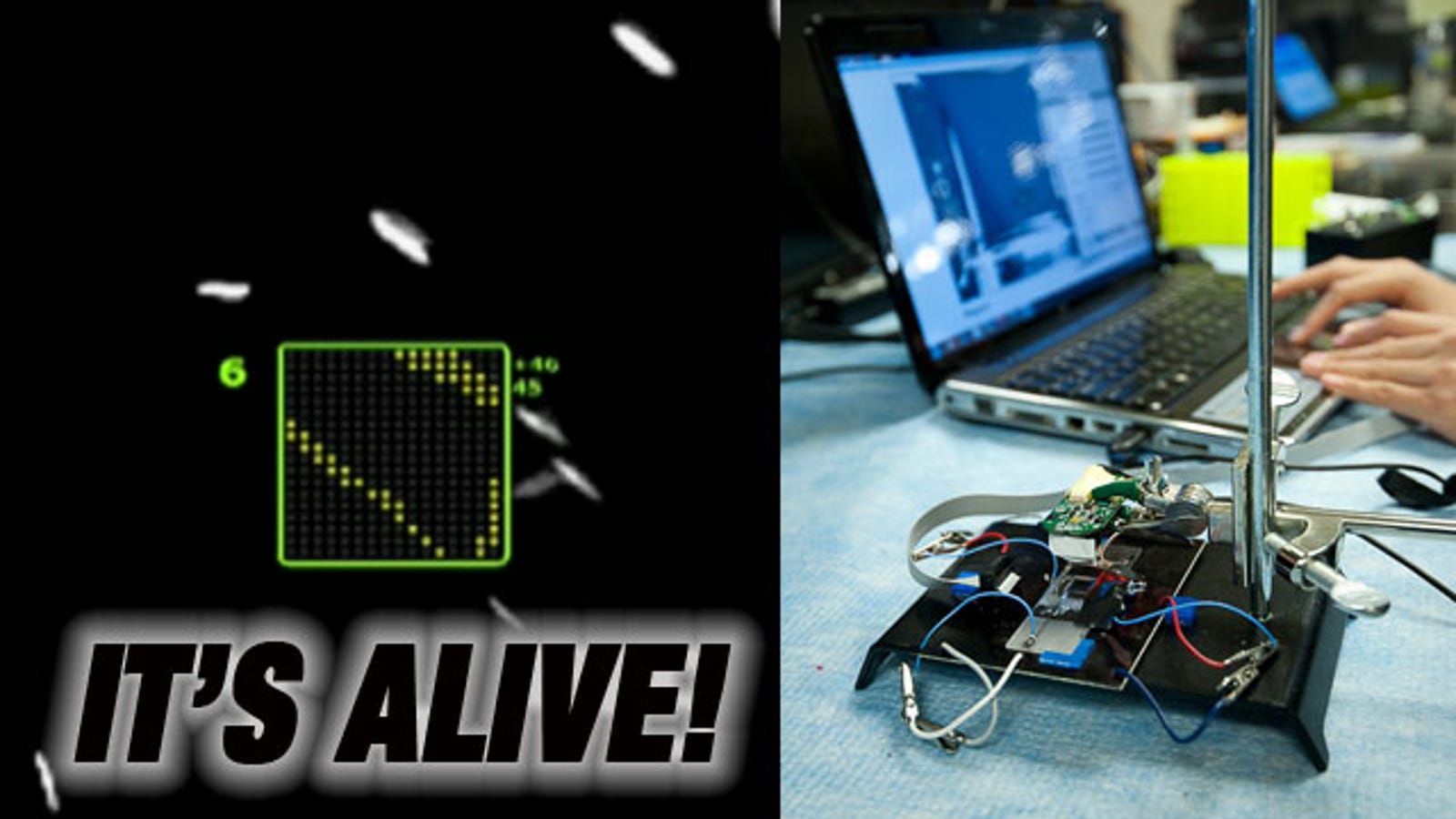 Biotechnology Games Let You Play With Living Creatures