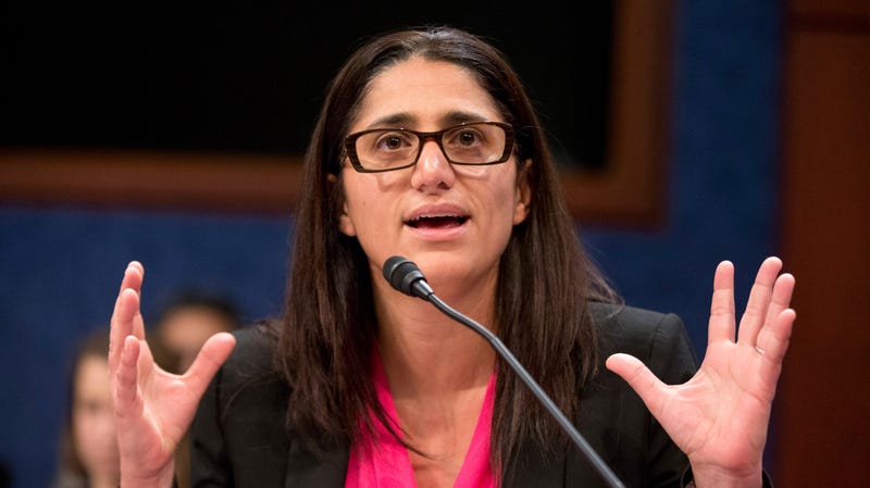 Dr. Mona Hanna-Attisha speaks during a House Democratic Steering and Policy Committee hearing on The Flint Water Crisis on Capitol Hill in February 2016.