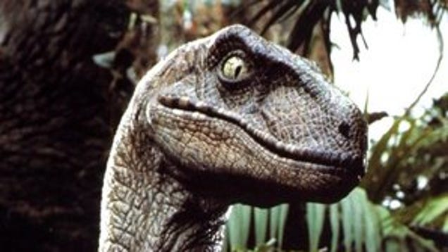 danger danger velociraptor