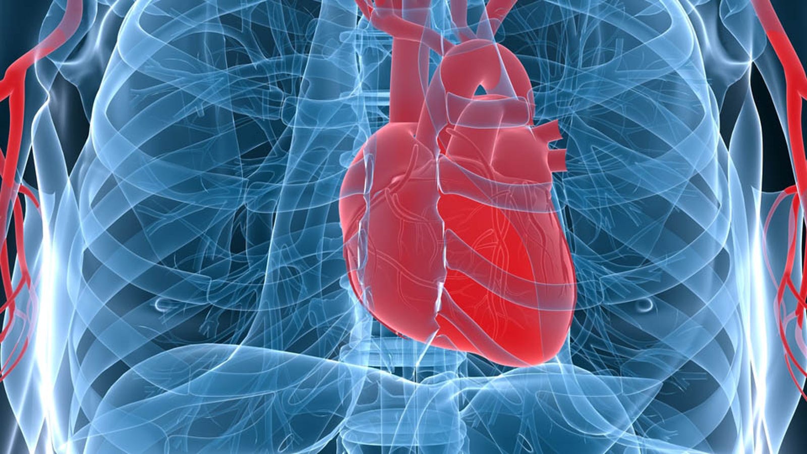 Scientists Have Found A Way To Regenerate Muscle Tissue After A Heart scientists-have-found-a-way-to-regenerate-muscle-tissue-after-a-heart