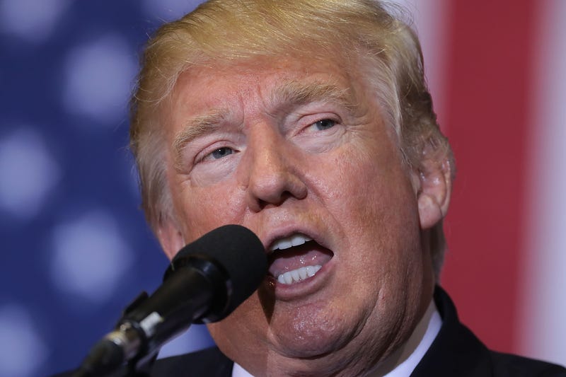 Donald Trump Chip Somodevilla/Getty Images