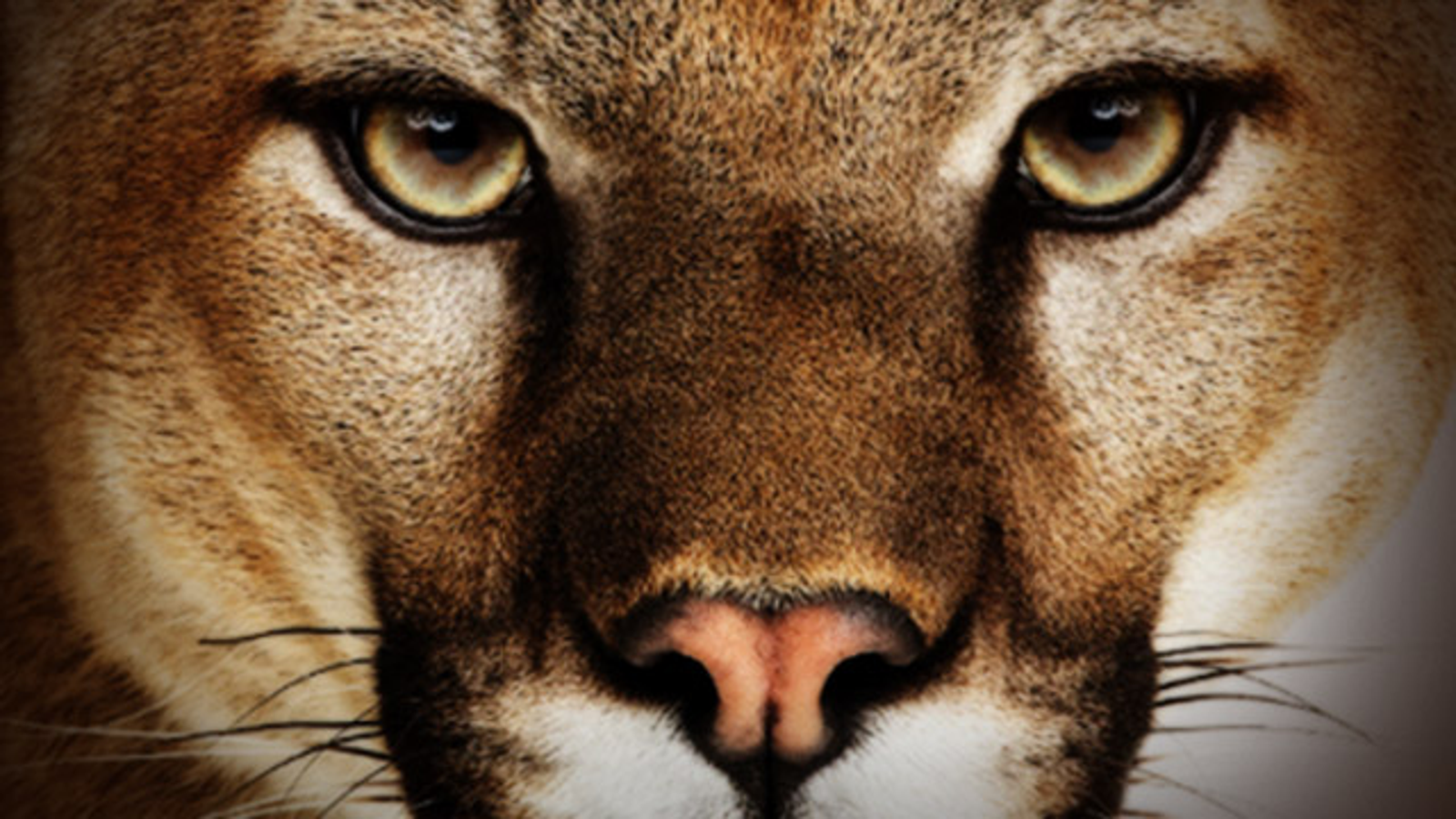 x os mountain lion