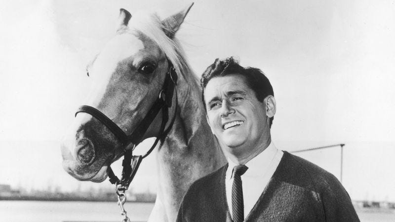 Mr. Ed (Photo: Hulton Archive/Getty Images)