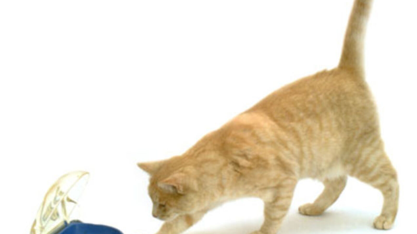 Pedal Bowl is Like a Toilet for Cat Food