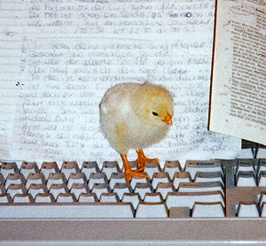 Illustration for article titled PETA Prank Or Hungry Bird?