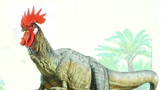 dinosaur to chicken evolution