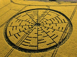 Illustration for article titled Aliens Leave a Pop Quiz In a Rapeseed Field