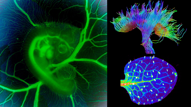 photo of These Science Photos Are So Beautiful They're Basically Art image
