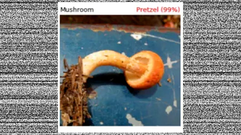Illustration for article titled Thousands of Reasons That We Shouldn&#39;t Trust a Neural Network to Analyze Images