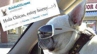 Illustration for article titled Mario Lopez's Dog Is a Total Douche Bag