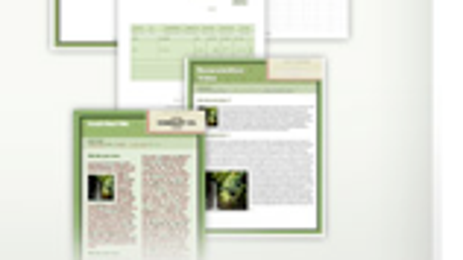 microsoft office templates