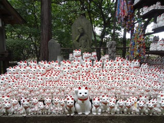 super lucky cat