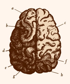 Illustration for article titled Excellent Dancer? Thank GABA.