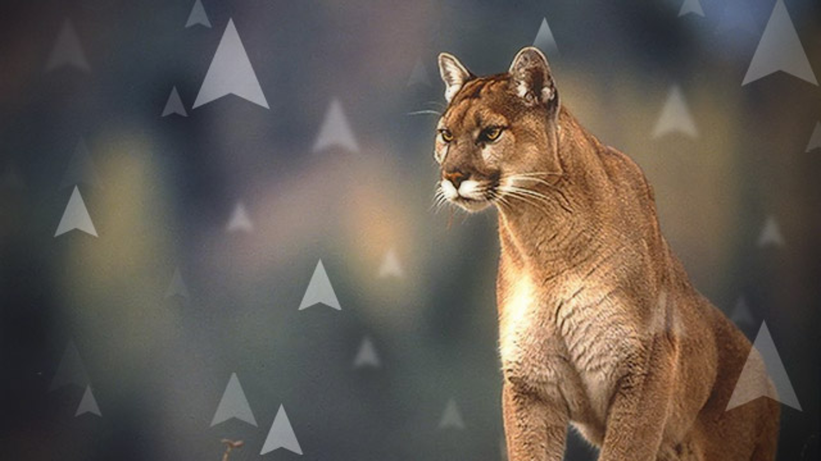 ffmpegx mountain lion