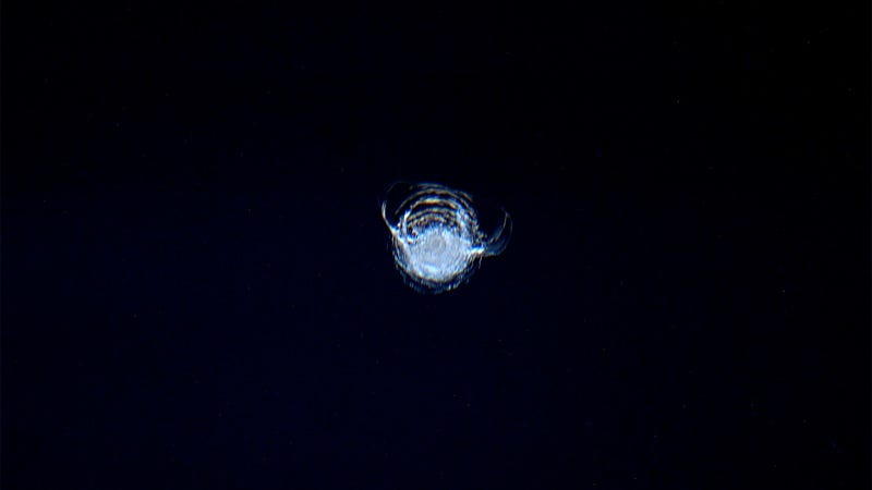 Illustration for article titled Por qué la basura espacial es un problema: así ha amanecido hoy una ventana de la ISS